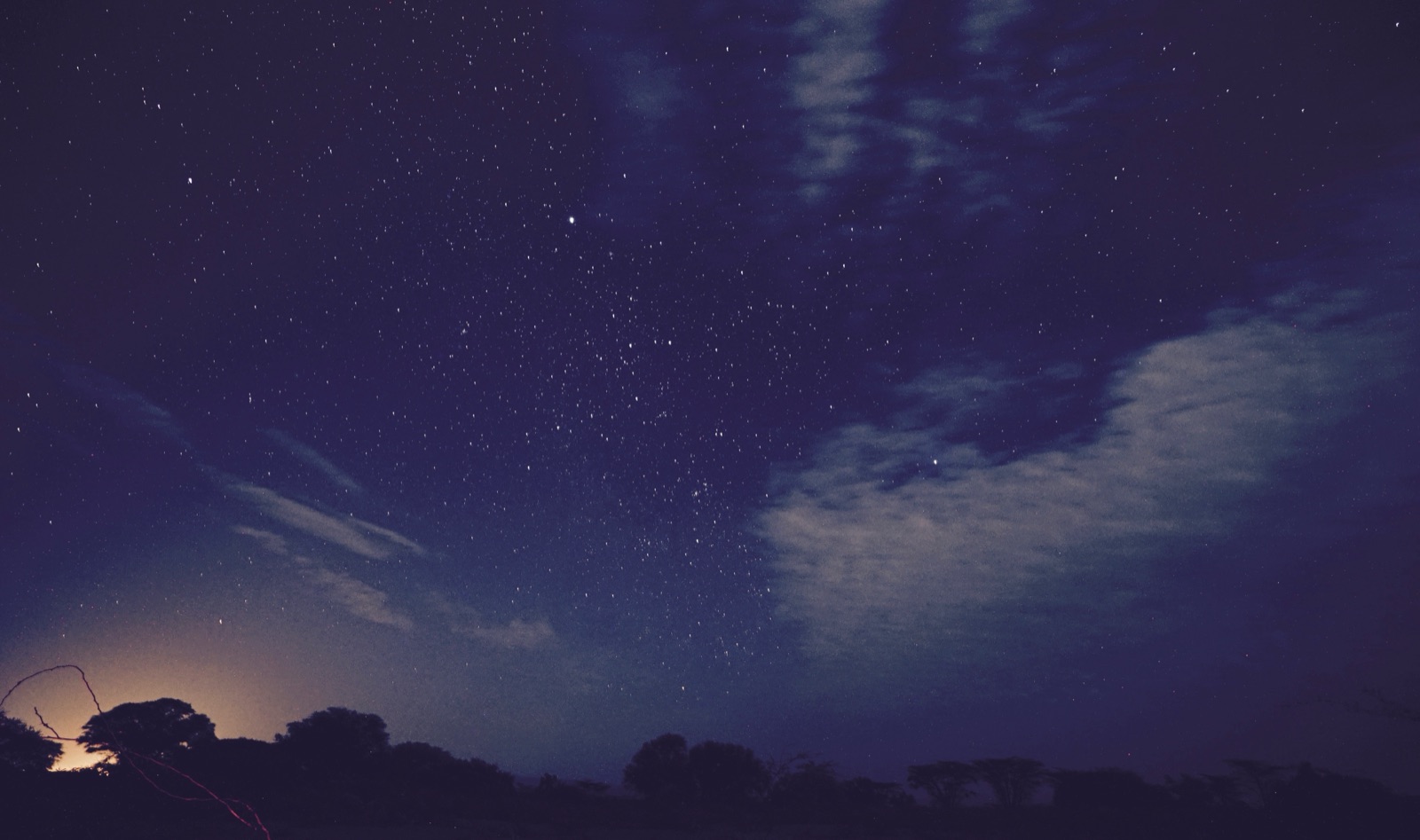 A star field over silhouetted trees.