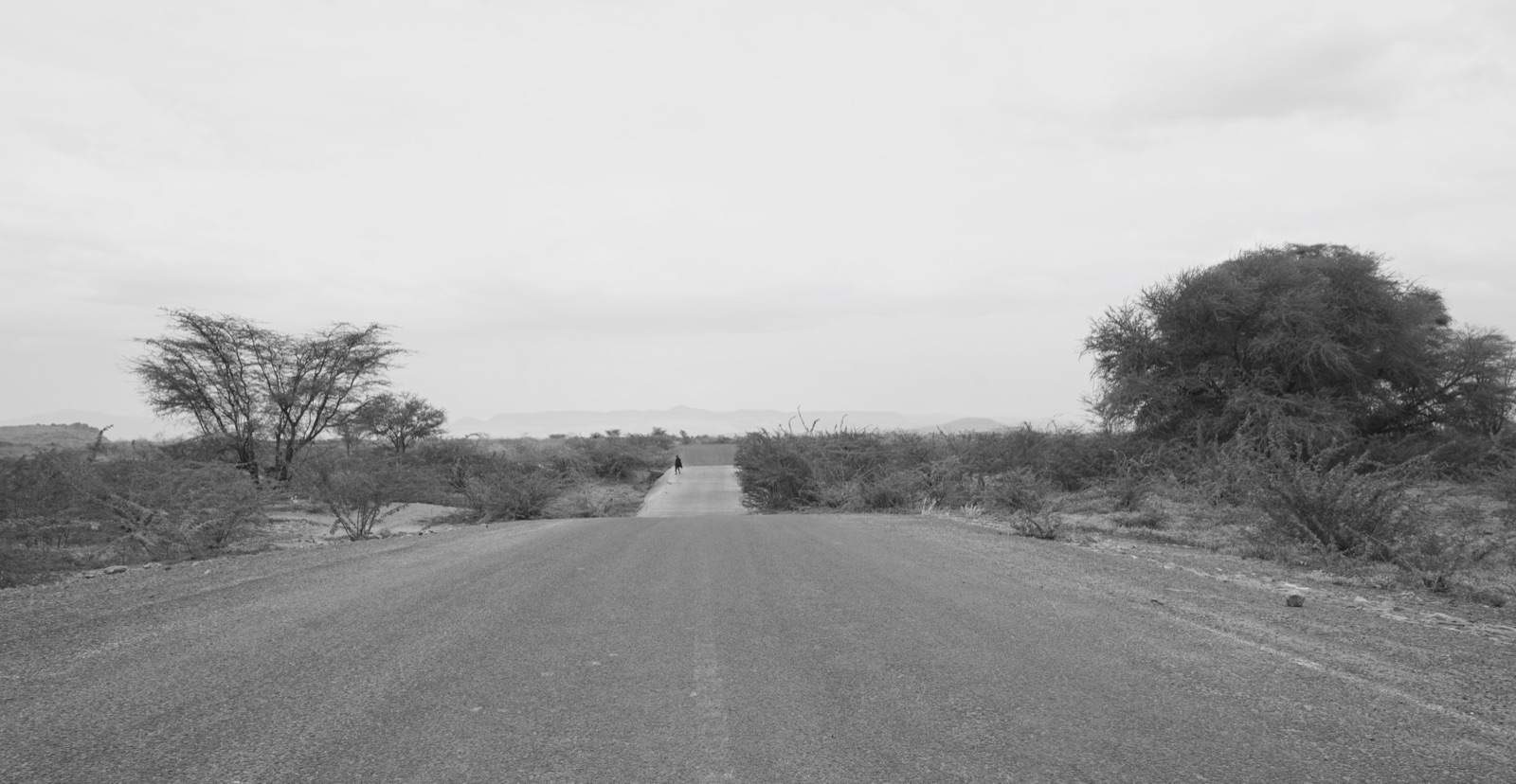 A lone figure on a paved road through dry bush.